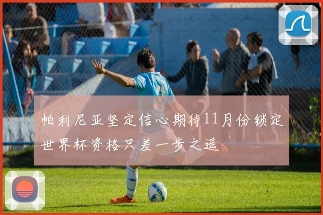 帕利尼亚坚定信心期待11月份锁定世界杯资格只差一步之遥