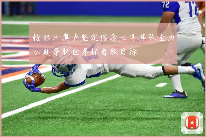 恰尔汗奥卢坚定信念土耳其队全力以赴争取世界杯晋级目标