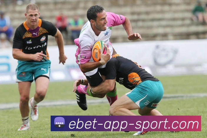 App Interface Preview