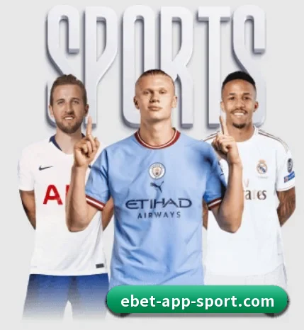 每个板块围绕一个运动项目展开 - EMCSPORTS